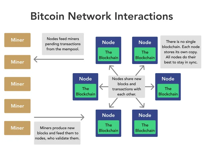 Bitcoinnätverk